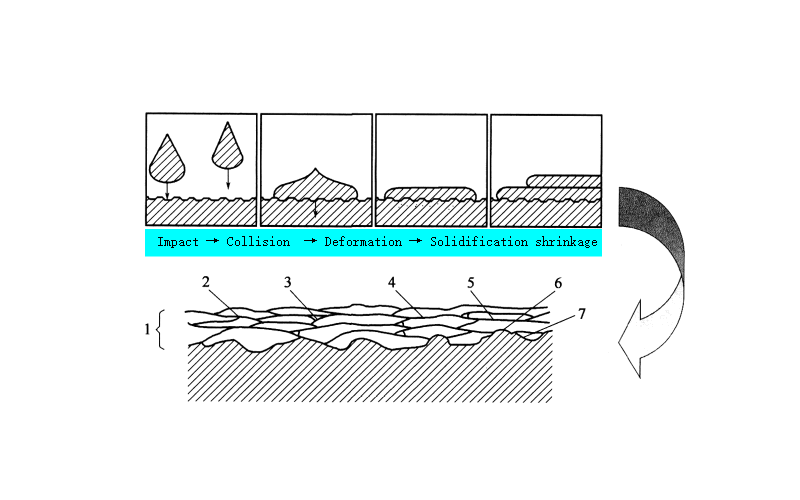 Formation process of coating.gif